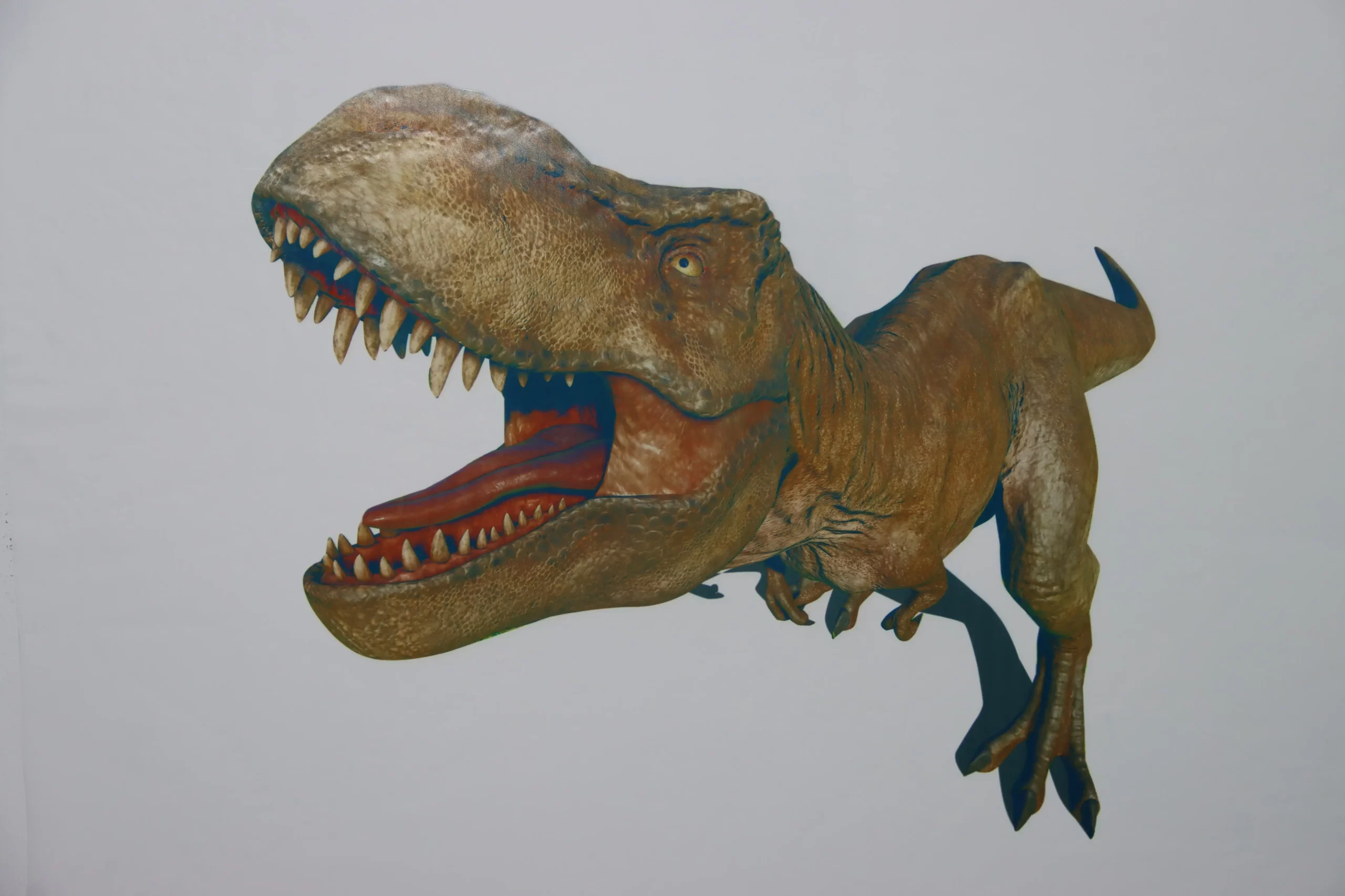The 3d wall print of T-Rex